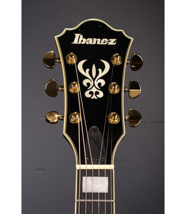 Artcore Expressionist AS93FM Semi-hollow Electric Guitar - Transparent Moss Green