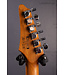 Standard AZ24S1F Electric Guitar - Transparent Black Sunburst