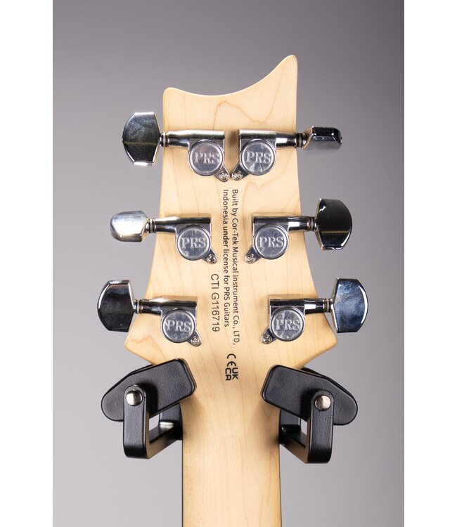 SE CE 24 Standard Satin Electric Guitar - Metallic Gold Satin