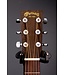DX2E Dreadnought Acoustic-Electric Guitar With Soft Case - Ziricote Burst