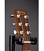 DX2E Dreadnought Acoustic-Electric Guitar With Soft Case - Ziricote Burst