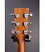 GPC-X2E Grand Performance Acoustic-electric Guitar - Natural Cocobolo