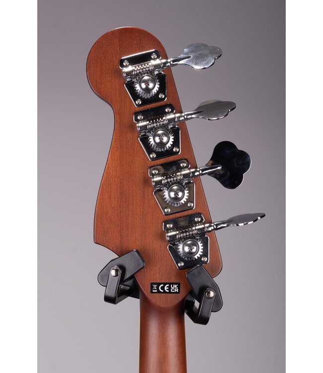 Kingman Acoustic-Electric Bass - Shaded Edge Burst