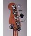 Kingman Acoustic-Electric Bass - Shaded Edge Burst