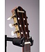 FRH10NBSF Thinline Nylon Acoustic-electric Guitar - Brown Sunburst