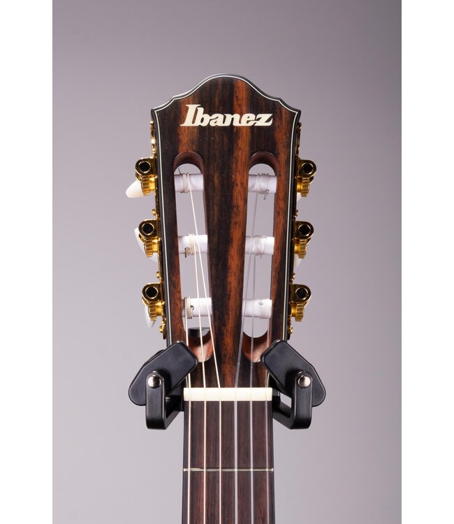 FRH10NBSF Thinline Nylon Acoustic-electric Guitar - Brown Sunburst