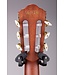 FRH10NBSF Thinline Nylon Acoustic-electric Guitar - Brown Sunburst