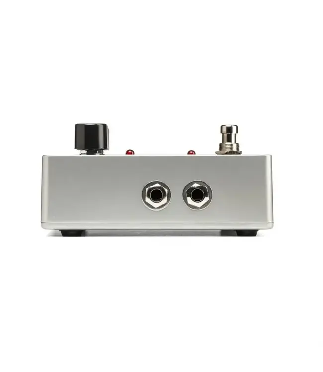 Electro-Harmonix Deluxe Memory Man Analog Delay / Chorus / Vibrato Pedal | Roxy Music