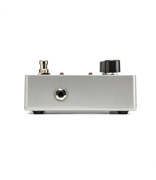 Electro-Harmonix Deluxe Memory Man Analog Delay / Chorus / Vibrato Pedal | Roxy Music