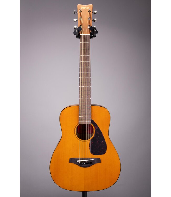 Jr1 3/4 Size Acoustic Guitar With Gigbag - Natural