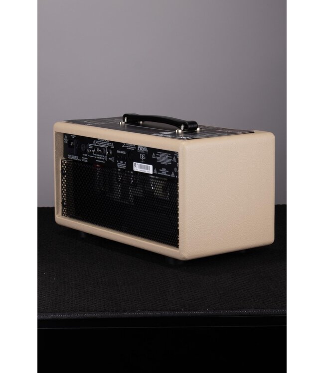 DGT 15 David Grissom 15-watt Tube Head - Blonde Tolex