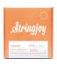 Stringjoy Foxwoods coated phosphor bronze acoustic guitar strings deliver warm tone, smooth feel, and long-lasting performance in multiple gauges.