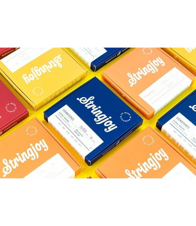 Stringjoy Foxwoods Coated Phosphor Bronze 6-string Acoustic Guitar Strings -