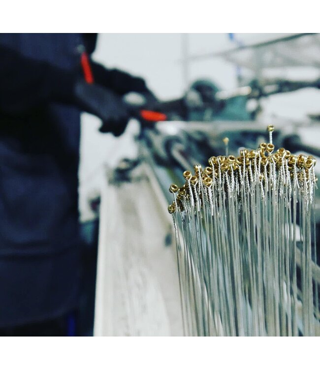 Stringjoy Foxwoods Coated Phosphor Bronze 6-string Acoustic Guitar Strings -