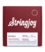 Stringjoy Naturals Phosphor Bronze Acoustic Guitar Strings