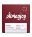 Stringjoy Stringjoy Naturals 12-String Phosphor Bronze Acoustic Guitar Strings