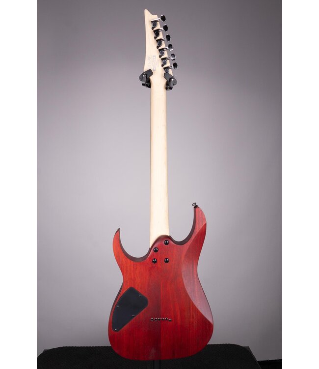 Ibanez RG421PB Electric Guitar - Caribbean Shoreline Flat with Jatoba Fingerboard