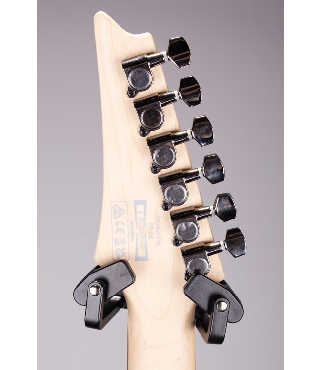 Ibanez RG421PB Electric Guitar - Caribbean Shoreline Flat with Jatoba Fingerboard