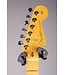 Fender American Professional Classic Stratocaster - Faded Firemist Gold with Rosewood Fingerboard, Includes Deluxe Gig Bag