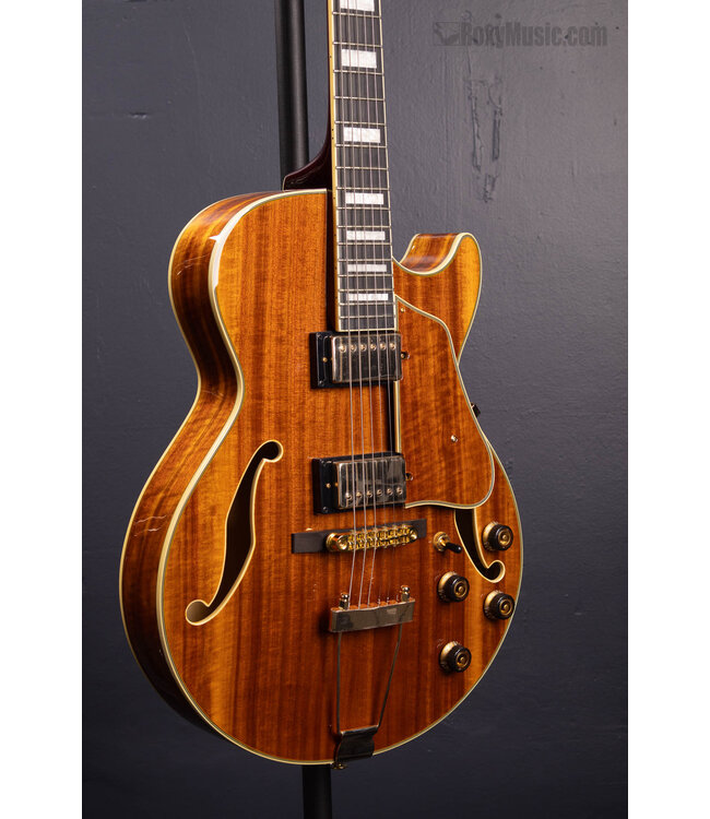 Artcore Expressionist AG95K Hollowbody Electric Guitar - Natural