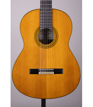 Yamaha Yamaha GC22C Classical Guitar - Natural