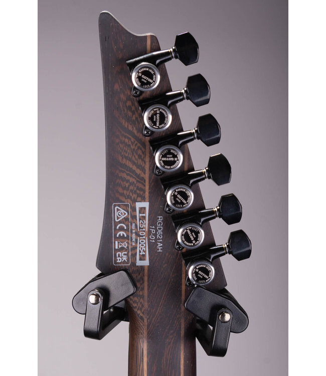 Ibanez RGD621AH Electric Guitar - Midnight Shade Fade