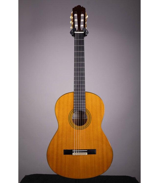 Yamaha GC12C Classical Acoustic Guitar – Solid Cedar Top w/ Gig Bag