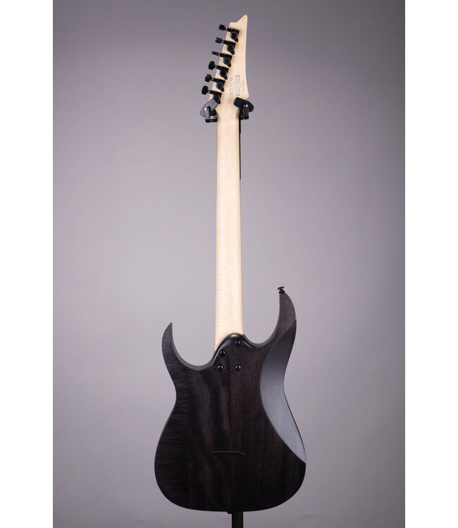 Ibanez RGR431PB RG Electric Guitar – Charcoal Gray Flat w/ Poplar Burl Top