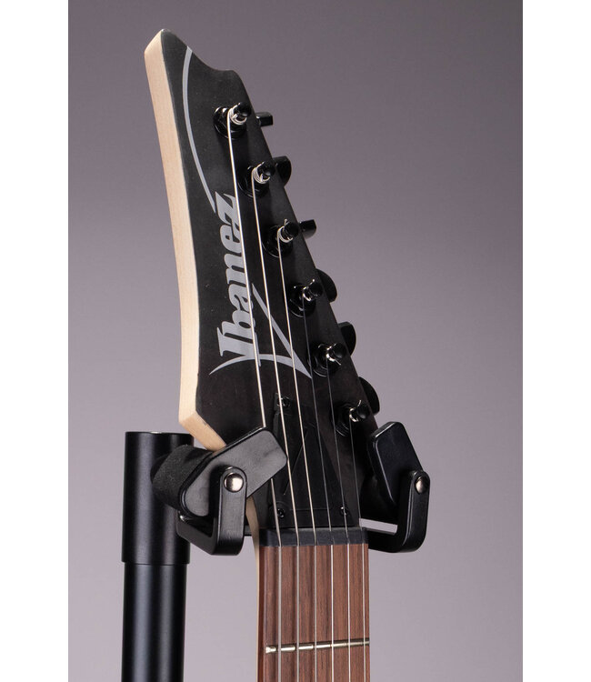 Ibanez RGR431PB RG Electric Guitar – Charcoal Gray Flat w/ Poplar Burl Top