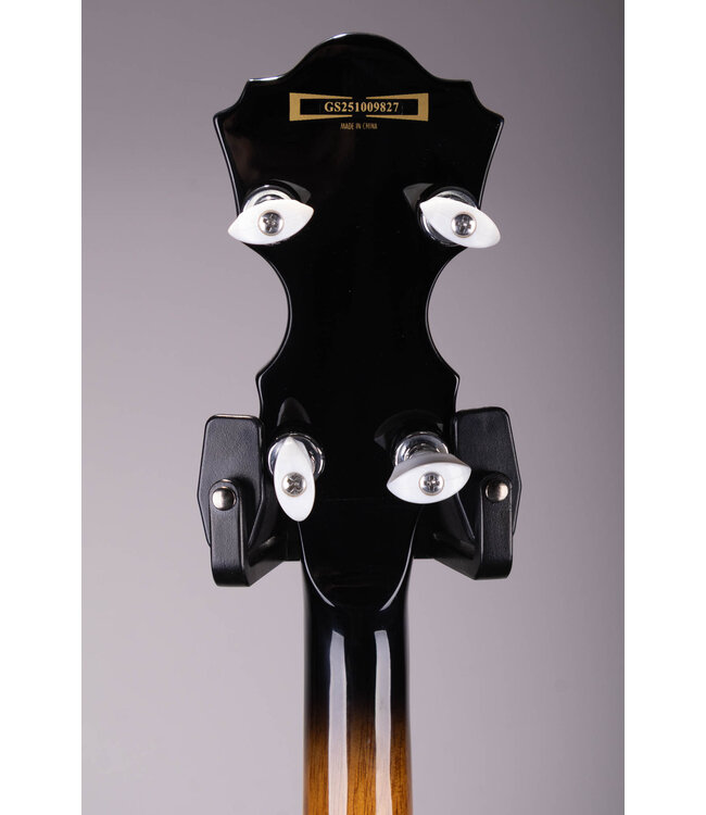 Ibanez B300 5-string Resonator Banjo