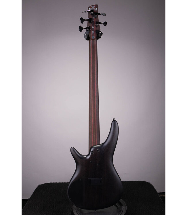Ibanez Premium SR1325SB 5-string Electric Bass Guitar - Icebreaker Wave Flat