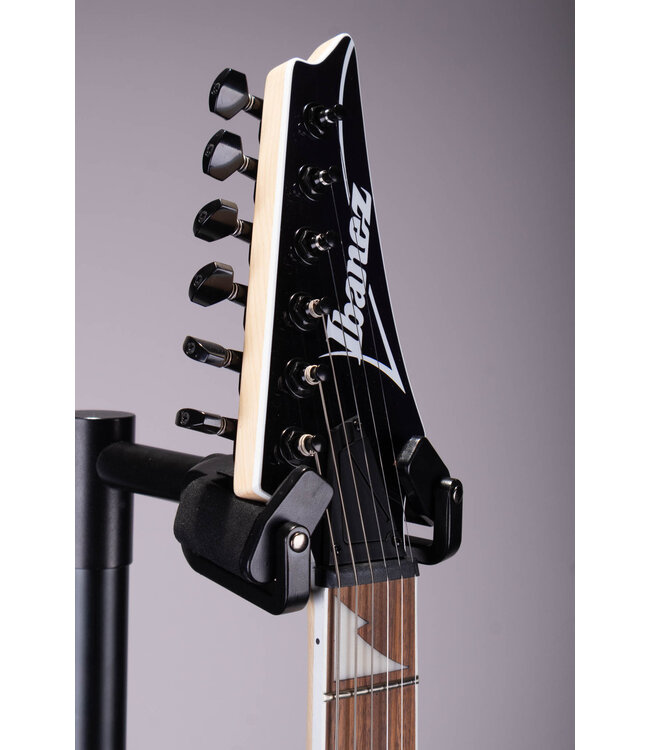 Ibanez RG421DX Electric Guitar - Twilight Shade with Jatoba Fingerboard