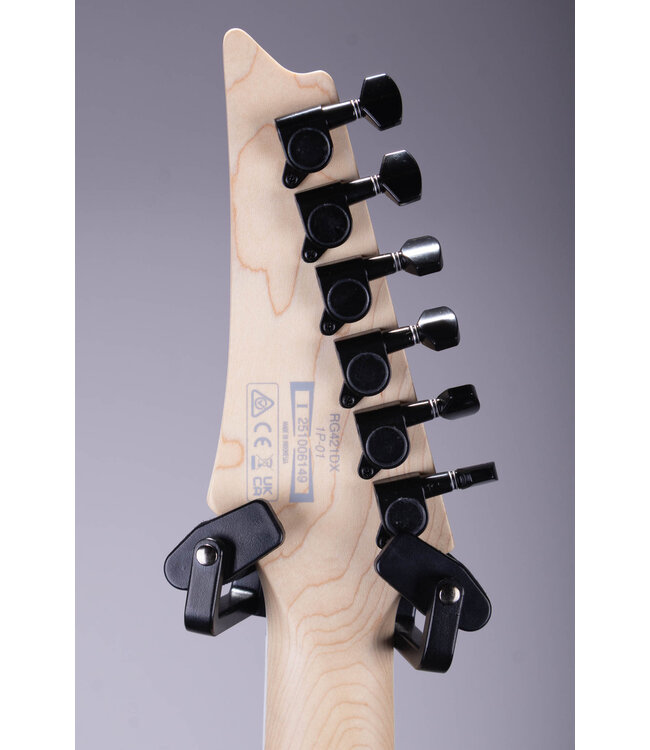 Ibanez RG421DX Electric Guitar - Twilight Shade with Jatoba Fingerboard