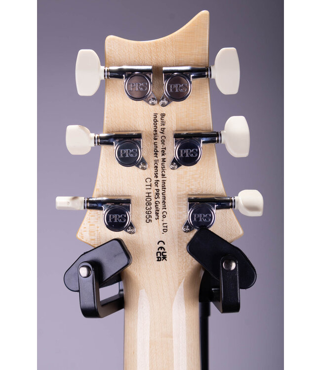 PRS SE Custom 24 Electric Guitar - Flame Maple Top with Gig Bag