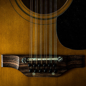 12-String Acoustics