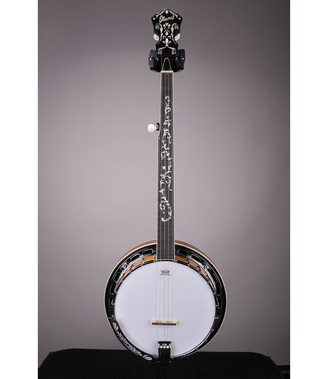 B200 5-String Resonator Banjo