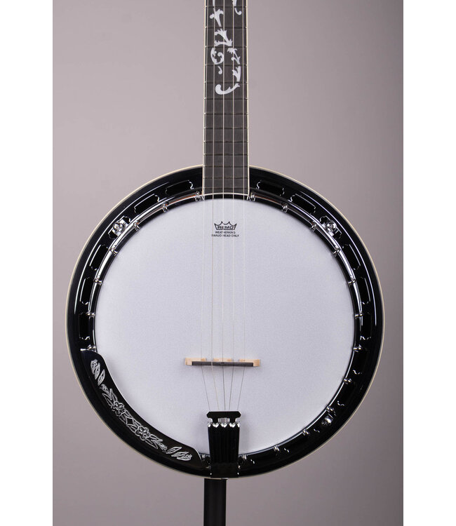 B200 5-String Resonator Banjo