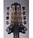 Ibanez M510 A-style Mandolin - Open Pore Vintage Sunburst