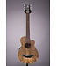 Yamaha APXT2EW 3/4 Thinline Acoustic-Electric Guitar - Exotic Wood