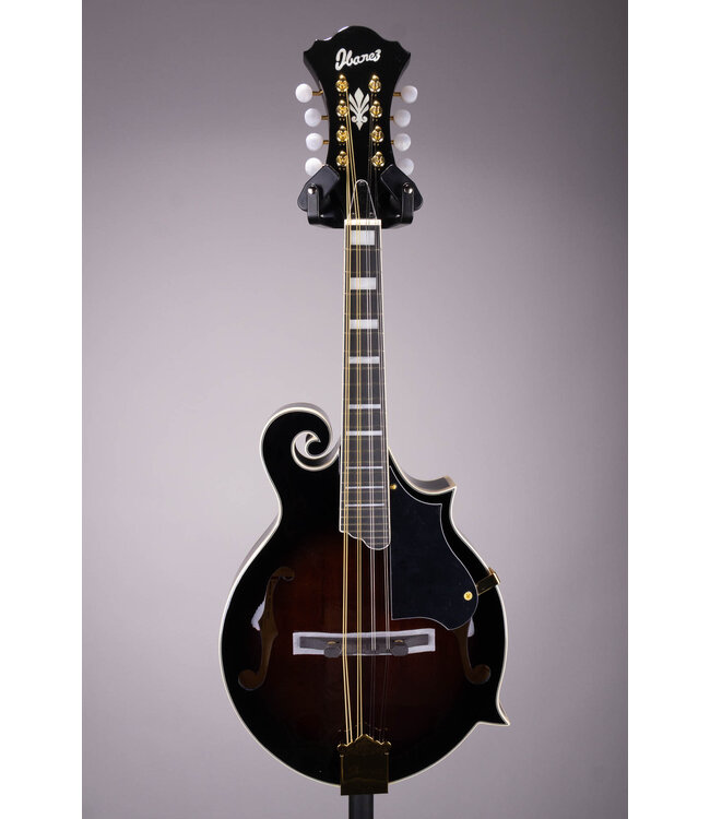 M522S F Style Mandolin - Dark Violin Sunburst Gloss