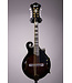 M522S F Style Mandolin - Dark Violin Sunburst Gloss