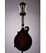 M522S F Style Mandolin - Dark Violin Sunburst Gloss