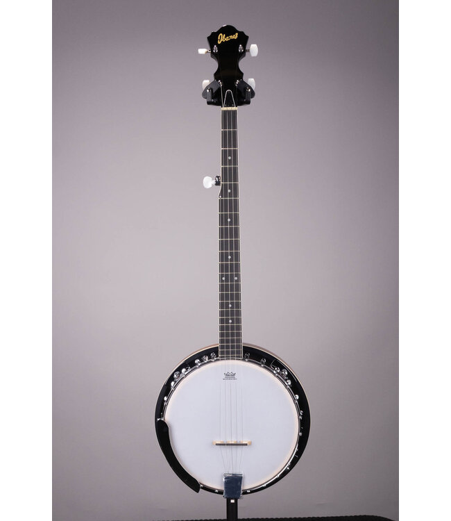 B50 5-String Resonator Banjo