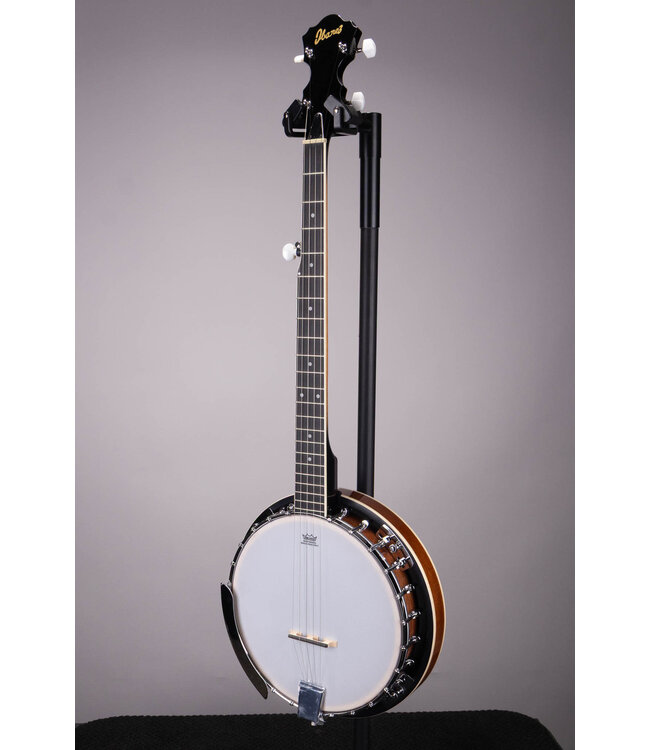 B50 5-String Resonator Banjo