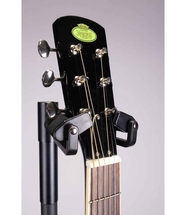 Used Regal RD-30 Resonator Guitar with Case