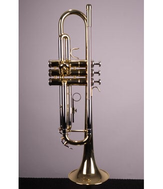 Victory Musical Instruments Triumph Series Student Bb Trumpet - With Case and Valve Oil