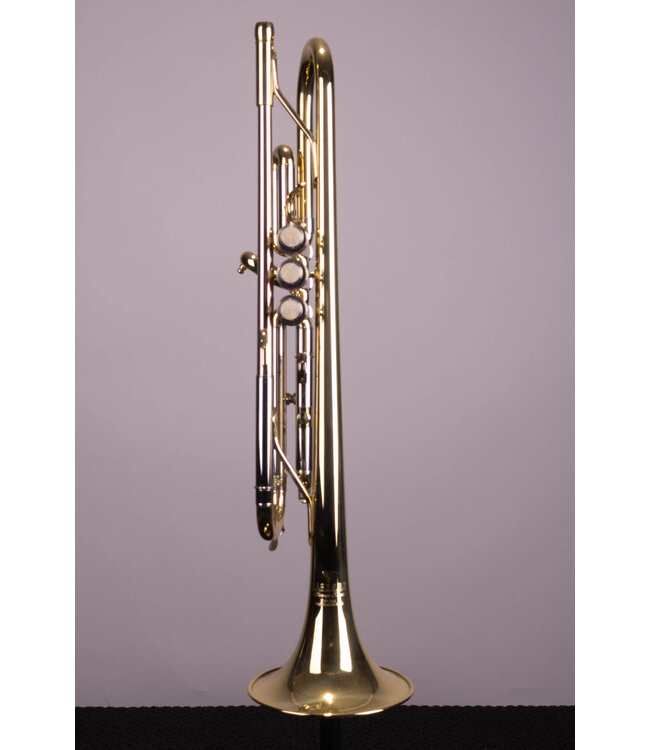 Victory Musical Instruments Triumph Series Student Bb Trumpet - With Case and Valve Oil
