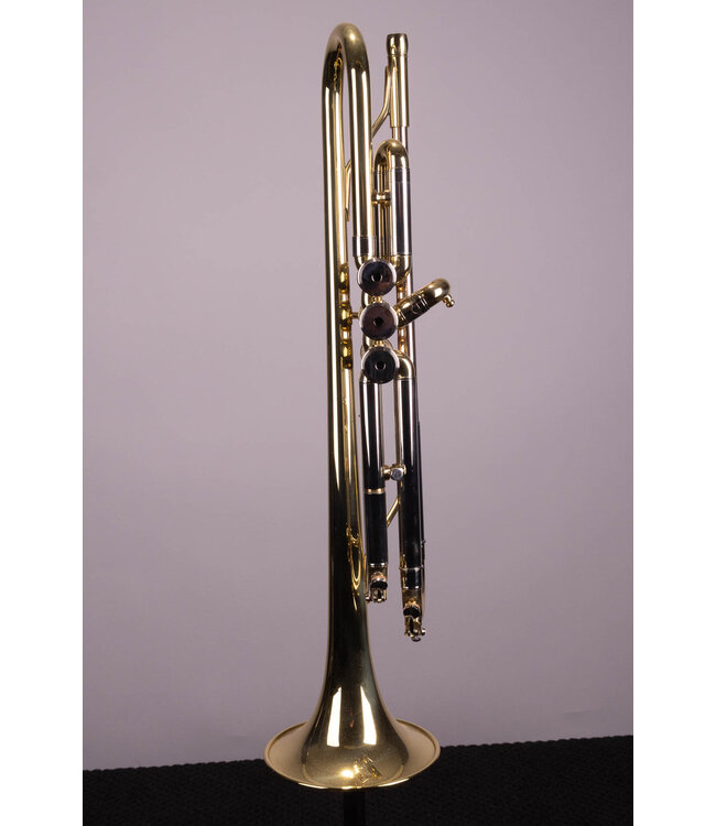 Victory Musical Instruments Triumph Series Student Bb Trumpet - With Case and Valve Oil