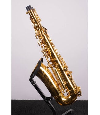 Victory Musical Instruments Triumph Series Student Eb Alto Saxophone - Gold Lacquer With Case and Mouthpiece
