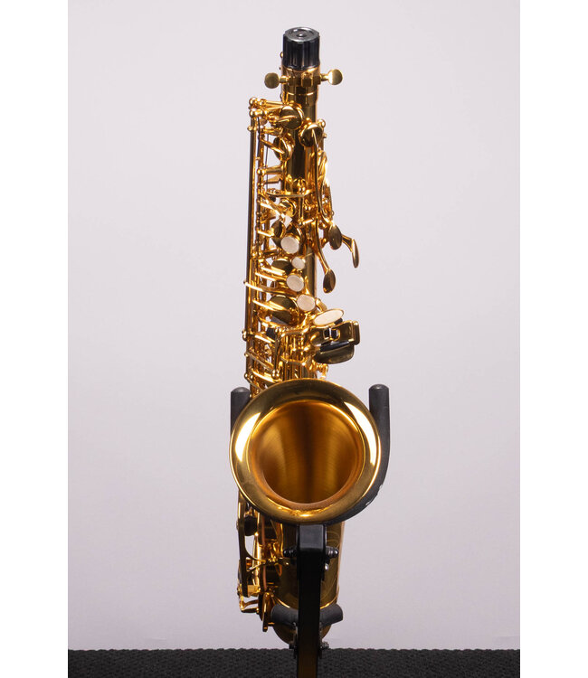 Victory Musical Instruments Triumph Series Student Eb Alto Saxophone - Gold Lacquer With Case and Mouthpiece